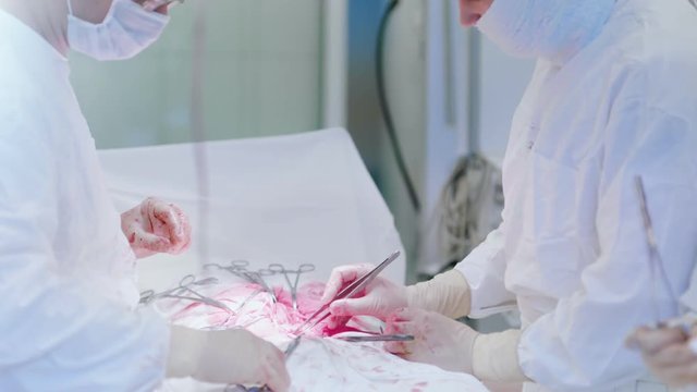Medical team working in operating room performing surgical operation using surgery instrument