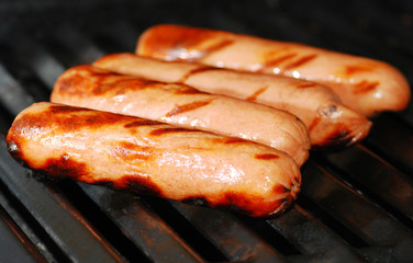 Gourmet Hotdogs Sizzling on Grill