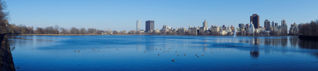 Fototapeta premium new york city skyline