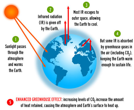 Greenhouse Effect