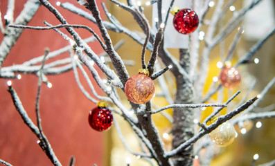 Winter tree without leaves covered with snow decorated with small decorative red balls close-up. Christmas Winter New Year Scenery background. Concept