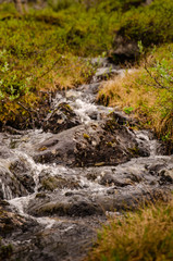 Fototapeta premium Stream in Finnish Fell in Lapland