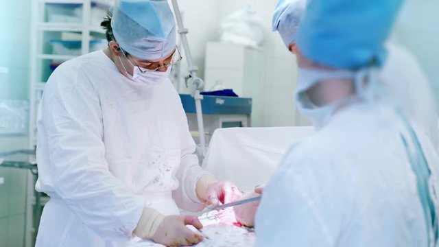 Male confident main surgeon controlling working of assistant during important operational procedure