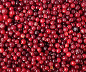 Top view of ripe cranberry, food background
