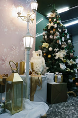 White owl under the Christmas tree