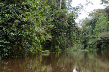 Amazon river
