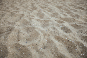 Fine beach sand in the summer sun