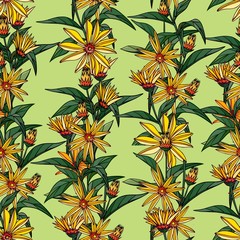 Fototapeta na wymiar Seamless pattern composed of flowers of lilies. Light green background.