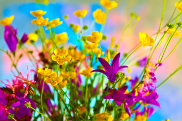 Fototapeta na wymiar A bouquet of wildflowers.
