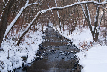Snow river