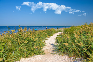 Отдых у моря. Рыбаки