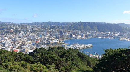 Fototapeta na wymiar City of Wellington, New Zealand
