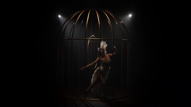 Graceful girl in bird costume riding a hoop in a cage on the stage. Black smoke background