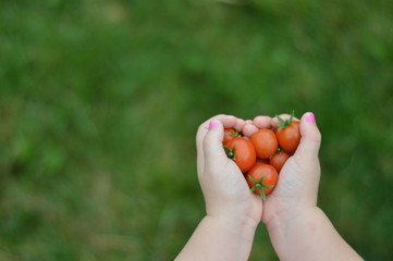 Coeur en tomates