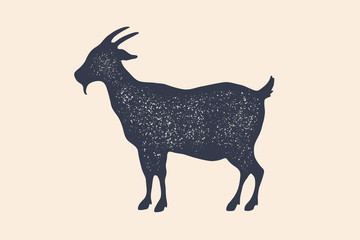 Goat. Vintage logo, retro print, poster for Butchery