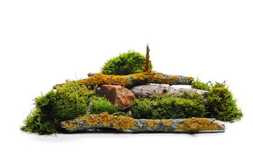 Green moss with rotten branch and yellow lichen isolated on white background