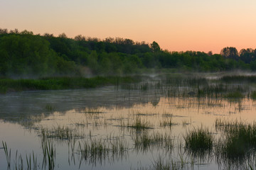 Misty morning over the river in the spring