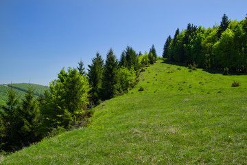 Fototapeta na wymiar Green hill landscape