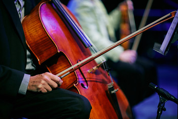 cellist sitting down at concert waiting to play