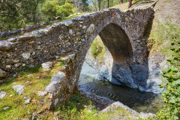 Fototapeta na wymiar ancient venetian stone bridge of Elia at Troodos mountains, Cyprus