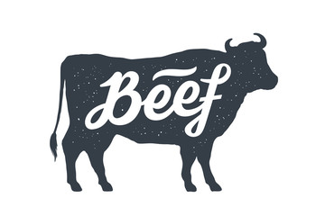 Cow, bull, beef. Vintage lettering, retro print, poster