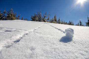 Beautiful winter Christmas landscape. Steep mountain hill slope with human track path in crystal deep snow and green spruce trees, white bright sun shining on clear blue sky copy space background.