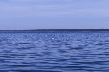 lake and blue sky