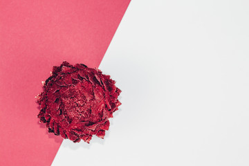 Red sparkling flower ornament on white and red background.