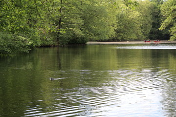 boats on the lake