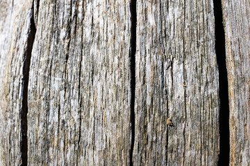  Old natural wooden background Wood background or texture Empty wooden texture background of old grunge wood