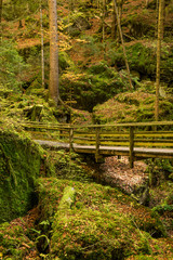 View on old grunge wooden bridge in mystery wild forest
