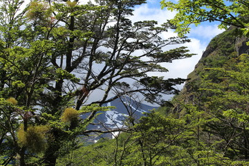 Landscape  National  park