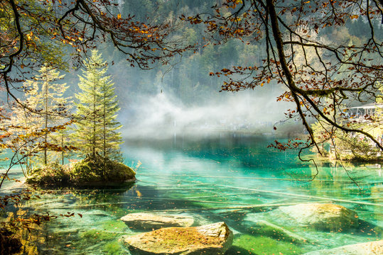 Scenery autumn view on mountain Blue Lake (Blausee ) in sunny day with turquoise water and golden leaves on trees. Natural park in Kandersteg, Switzerland