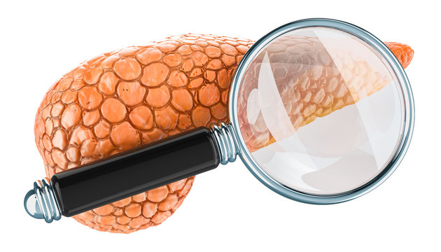 Human pancreas with magnifying glass. Research and diagnosis of pancreatic concept, 3D rendering