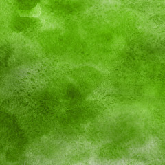 Watercolor green texture with abstract washes and brush strokes on the white paper background.