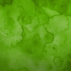 Watercolor green texture with abstract washes and brush strokes on the white paper background.