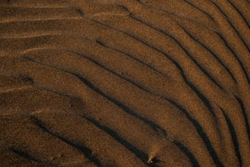 sand texture