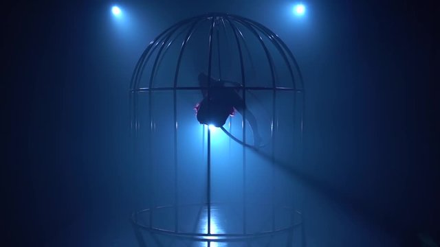 Stage Performance Of An Aerial Gymnast On A Hoop In A Cage . Blue Smoke Background. Silhouette. Slow Motion