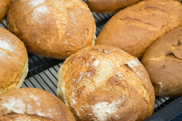 fresh bread on the shelves in bakery, food