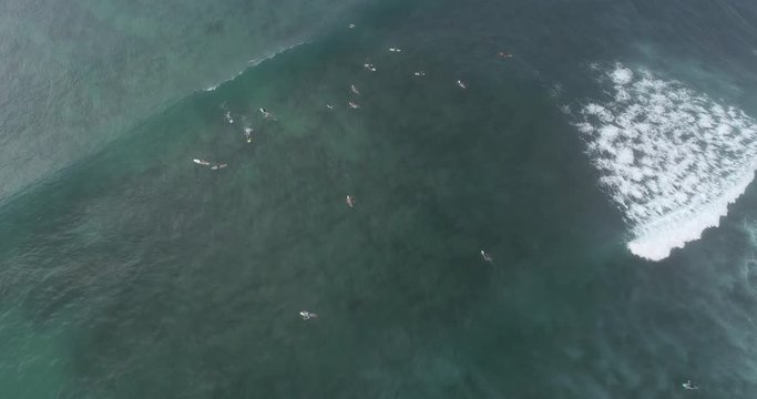 Aerial Top view from drone of surfers paddling for catching waves during surfing in the indian ocean,Srilanka