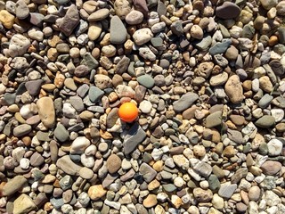 Oranger Golfball liegt auf Kieselsteinen