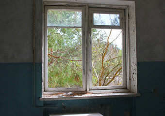 Fototapeta premium window