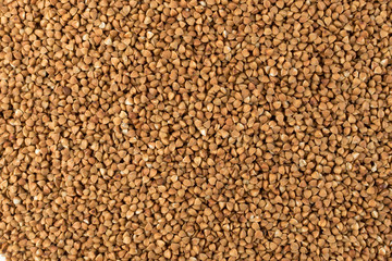 Dry Raw Buckwheat Grains Isolated on White Background