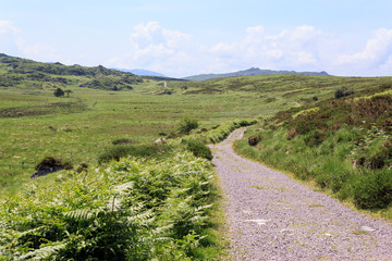 Old Kenmare Road, County Kerry, Ireland