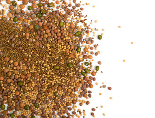Edible seed mix with dry radish, mustard, lentils, alfalfa seeds