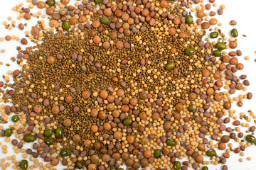 Edible seed mix with dry radish, mustard, lentils, alfalfa seeds