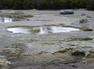 Mud Pool at Lake Rotorua, New Zealand