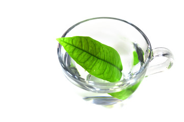glass cup with water and a leaf of lemongrass. White background. concept of clean water and food.