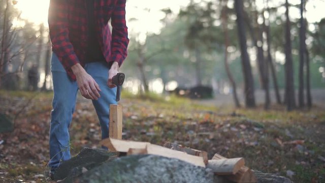 Man chops wood with axe in the forest. Forester cuts wood.
