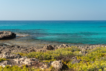 Fototapeta na wymiar Sea coast, bay in a quiet sunny day. Mediterranean Sea, Cyprus.